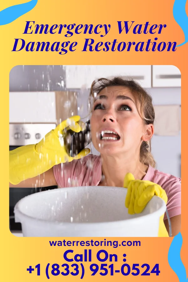 Emergency Water Damage Restoration in Wanamingo, MN